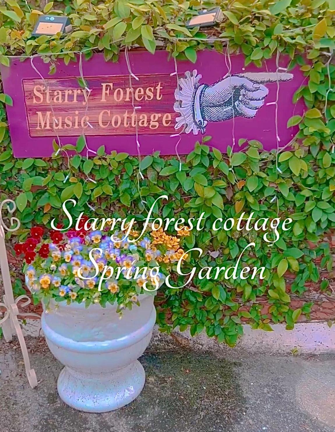 אונה Cats,Piano & Starry Sky Resort Garden -Starry Forest Cottage Okinawa- מראה חיצוני תמונה