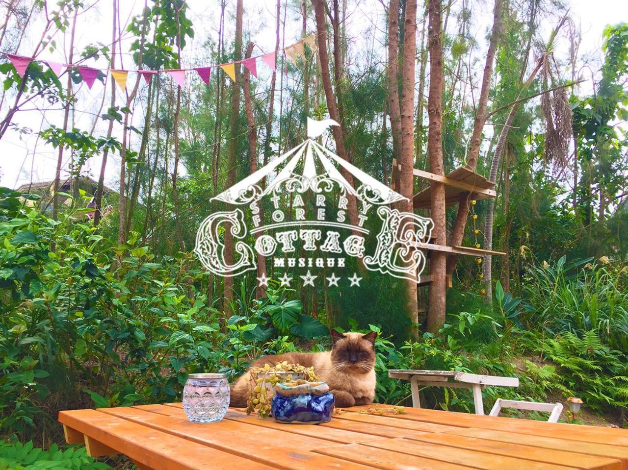 אונה 猫とピアノと星空のリゾートブティックコテージ - Starry Forest Cottage Okinawa - מראה חיצוני תמונה